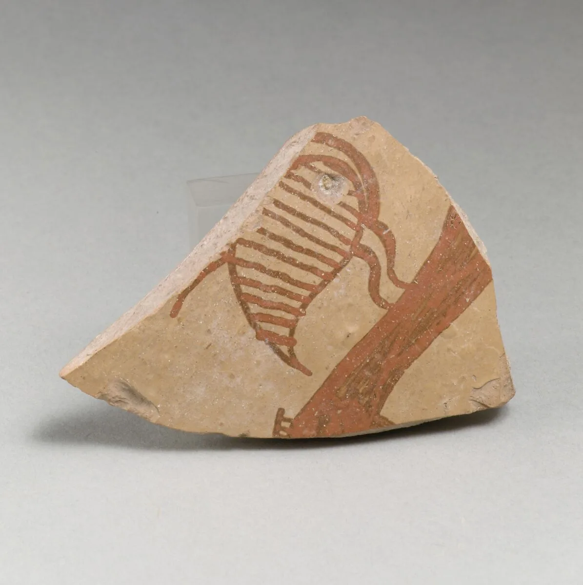 Terracotta vessel fragment (probably from a krater) with bird — Unknown
