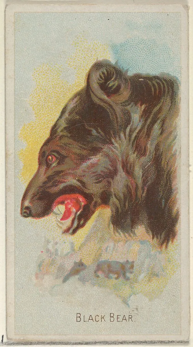 Black Bear, from the Wild Animals of the World series (N25) for Allen & Ginter Cigarettes — George S. Harris & Sons|Allen & Ginter
