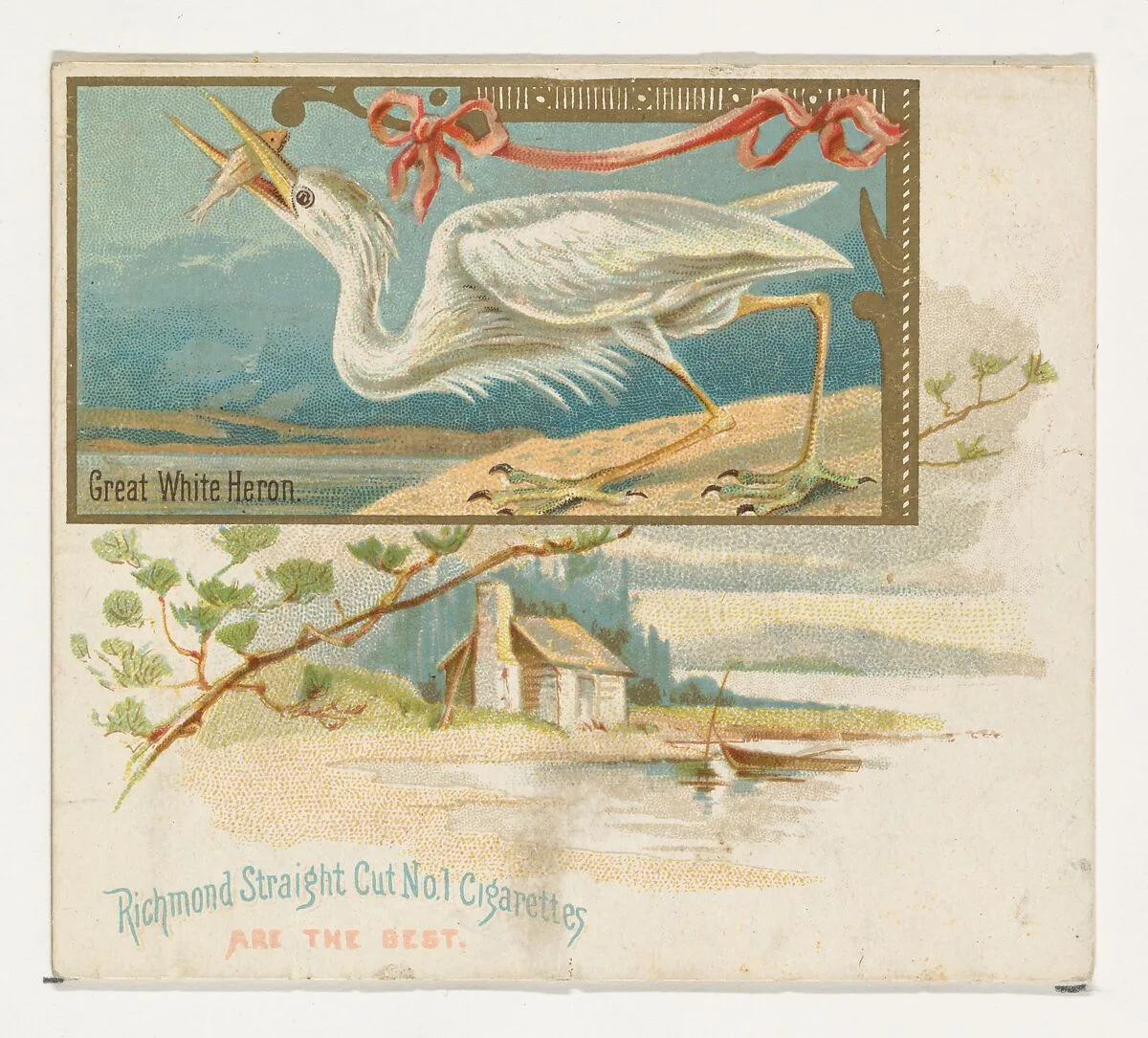 Great White Heron, from the Game Birds series (N40) for Allen & Ginter Cigarettes — Allen & Ginter