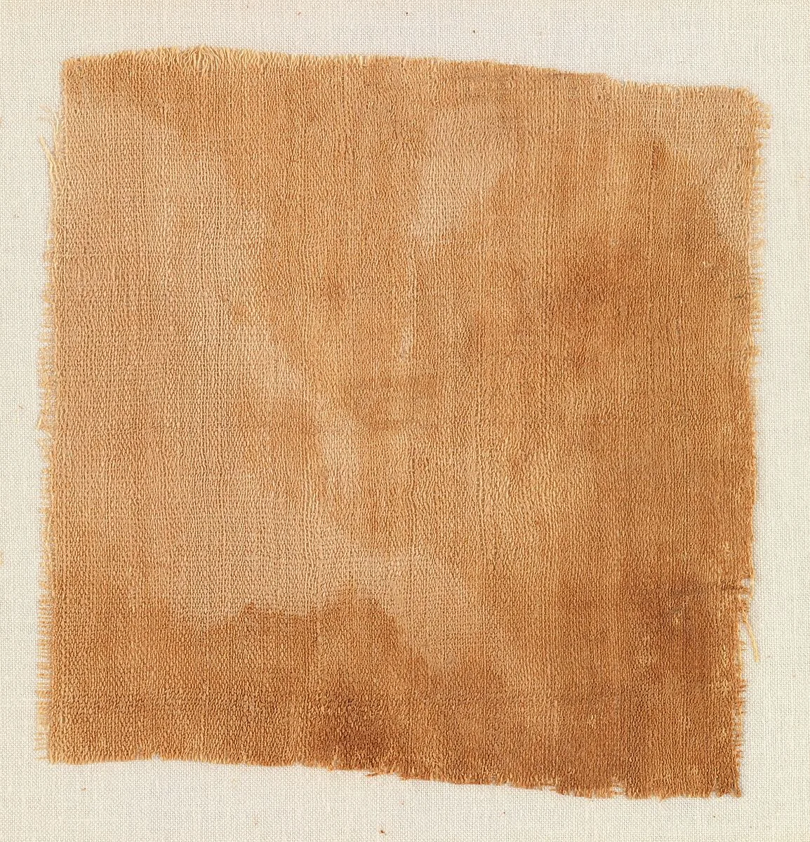 Sample of Cloth — Unknown