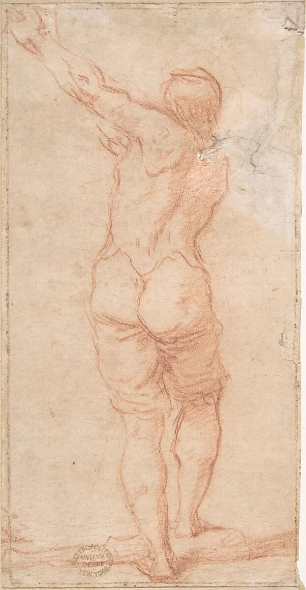 Male Figure with Arms Raised to the Left Seen From the Rear (recto); Male Figures with Arms Raised to the Left (front view of figure on recto) (verso) — Anonymous, Italian, Bolognese, 17th century