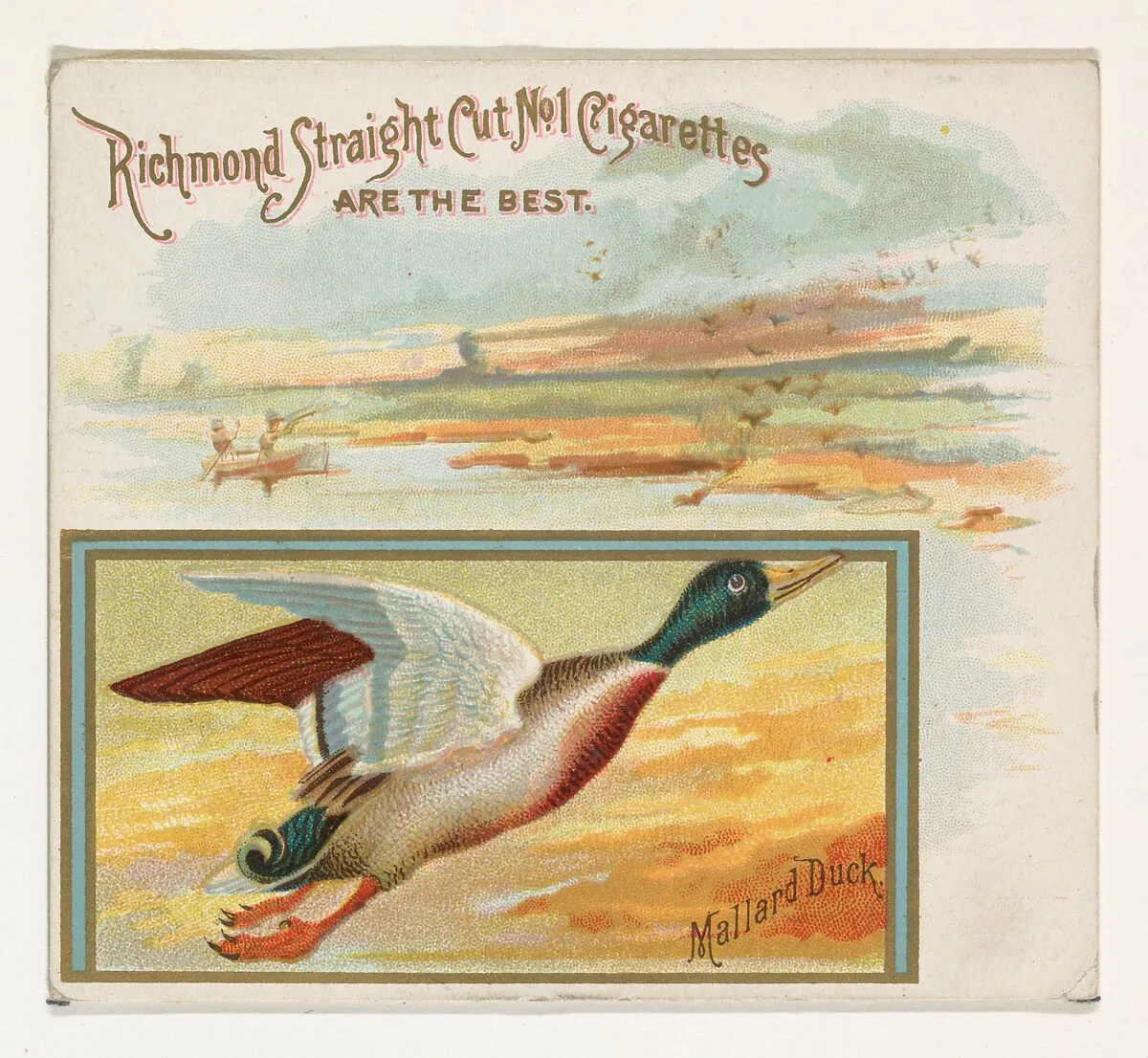 Mallard Duck, from the Game Birds series (N40) for Allen & Ginter Cigarettes — Allen & Ginter