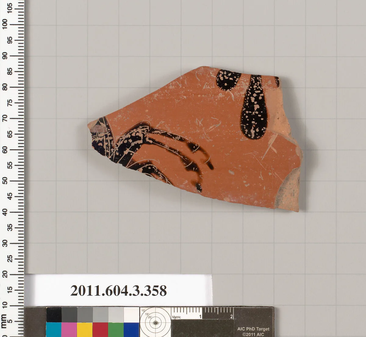Terracotta fragment of a neck-amphora (jar) — Unknown