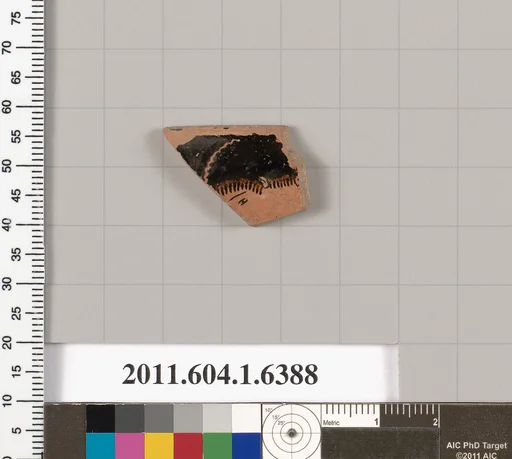 Terracotta rim fragment of a kylix (drinking cup)