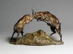 Goats Fighting