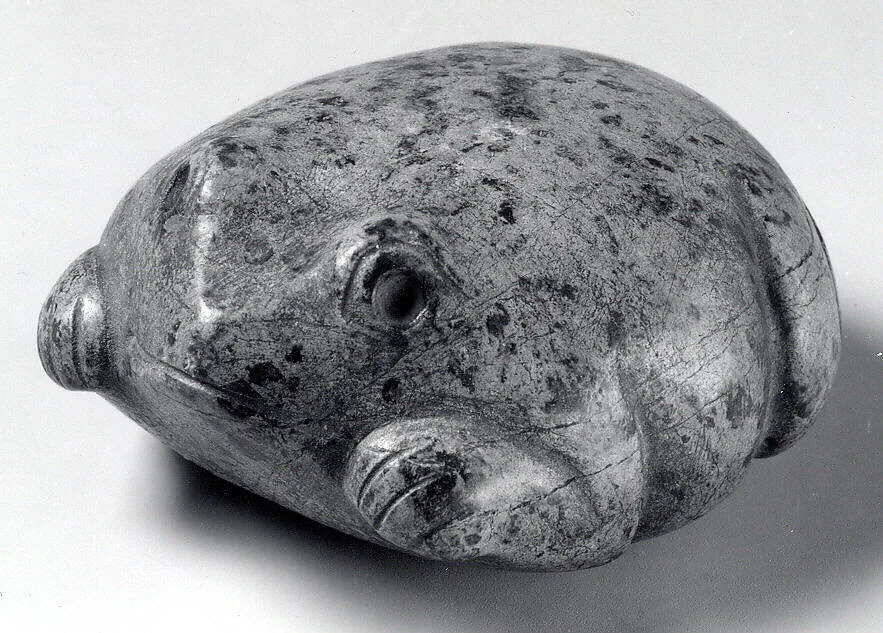 Frog — Unknown