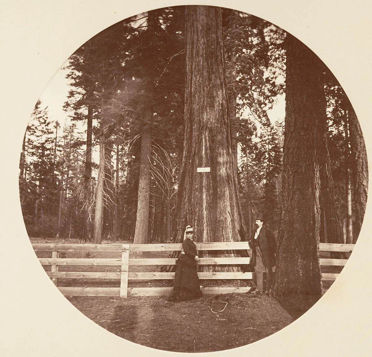 Auld Reckie. C. Grove — Carleton E. Watkins