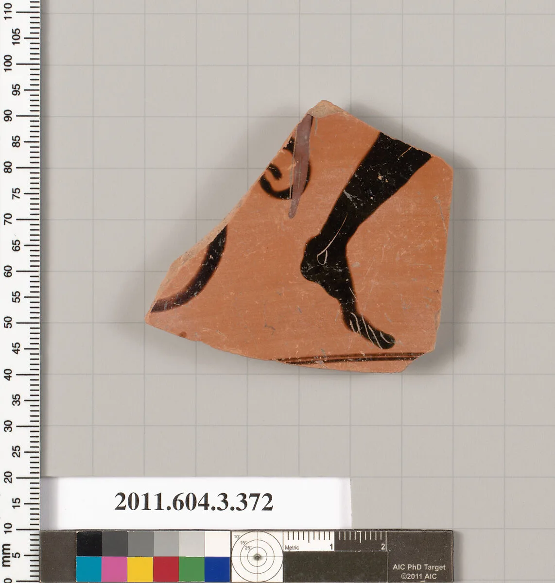 Terracotta fragment of a neck-amphora (jar) — Unknown