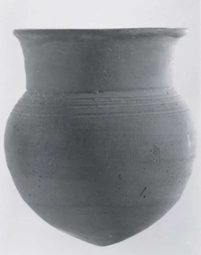 Palace Ware cup
