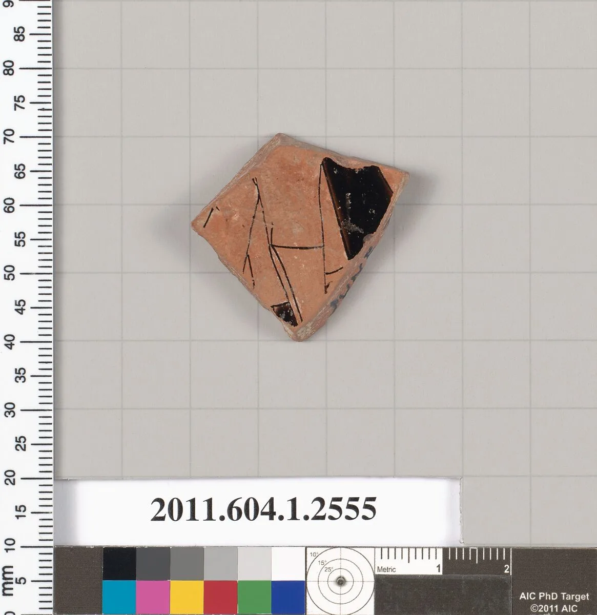 Terracotta fragment of a kylix (drinking cup) — Unknown