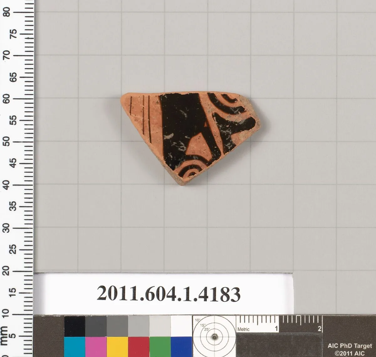 Terracotta fragment of a kylix (drinking cup) — Unknown