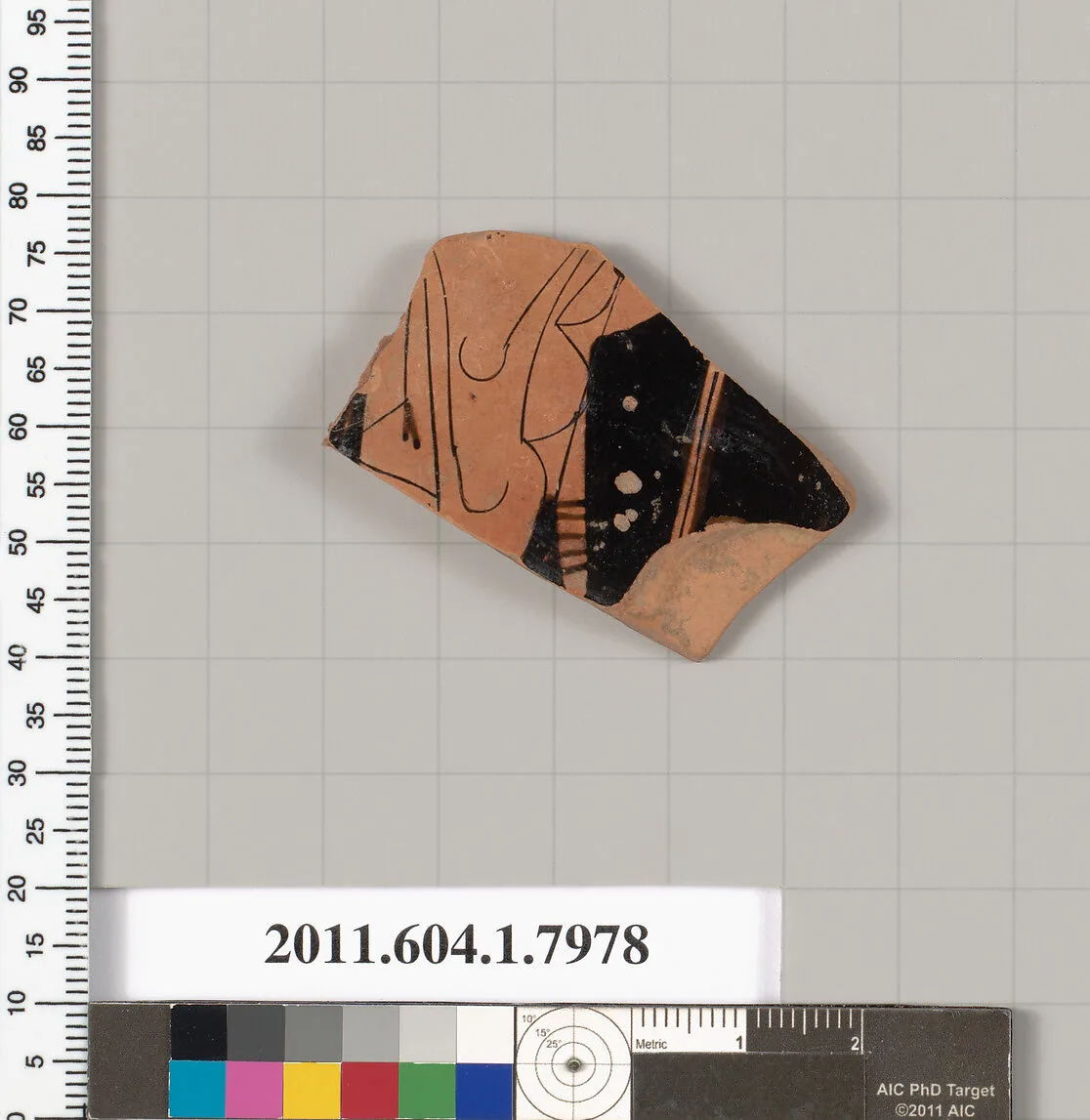 Terracotta fragment of a kylix (drinking cup) — Unknown