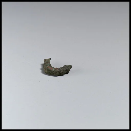 Fibula, fragment