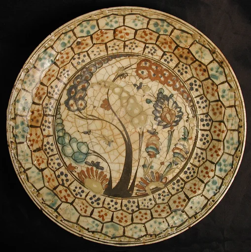 Dish