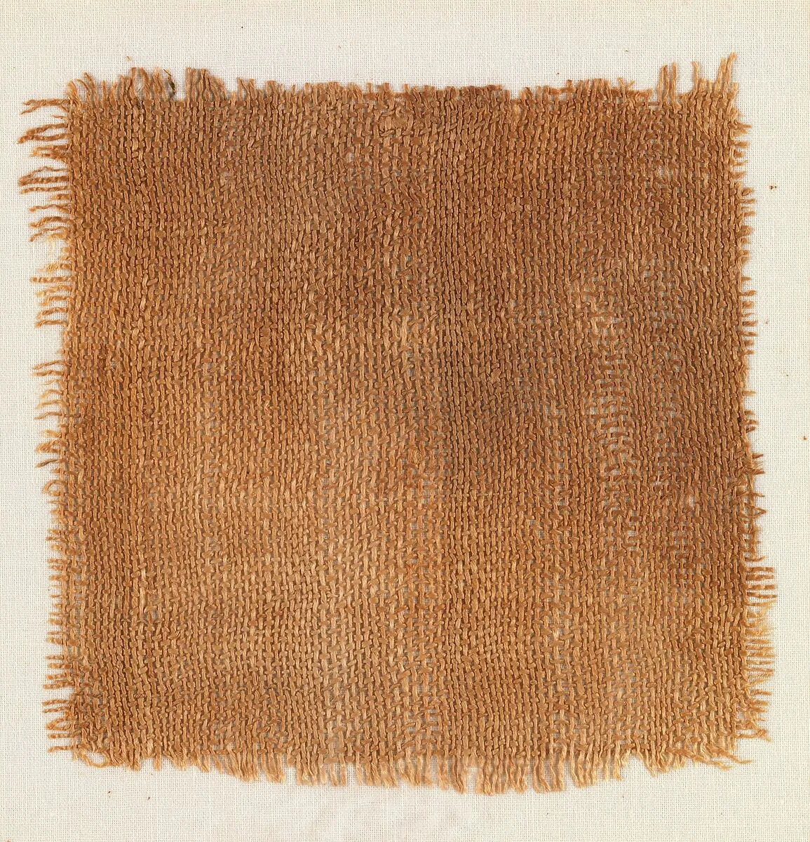 Sample of Cloth — Unknown