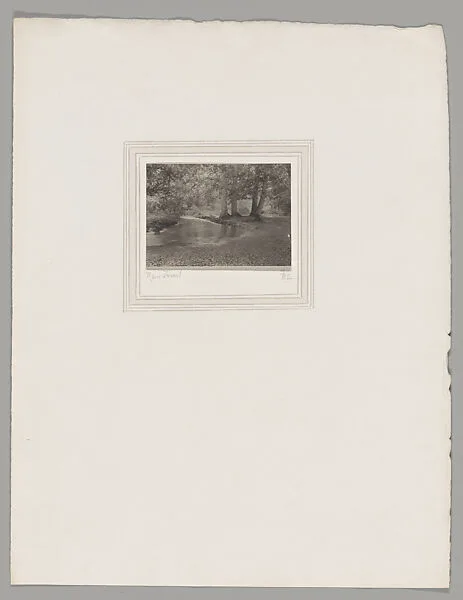New Forest — Frederick H. Evans