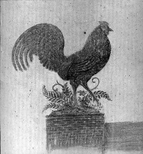 Rooster