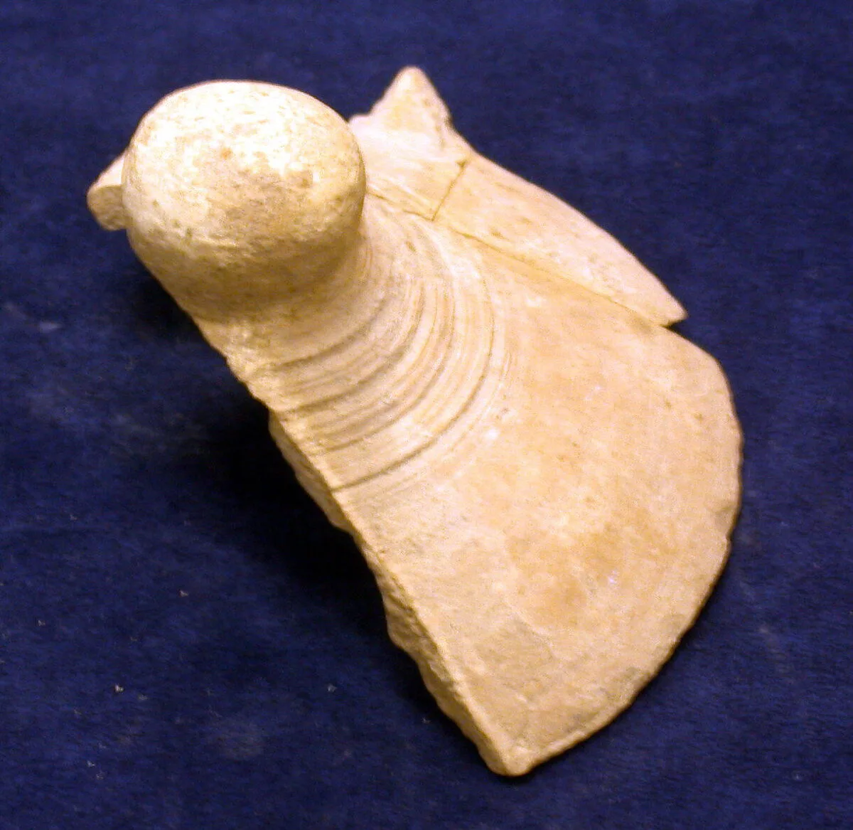 Vessel lid — Unknown