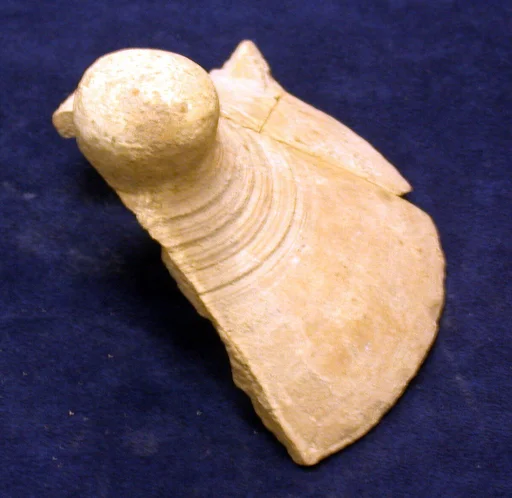 Vessel lid