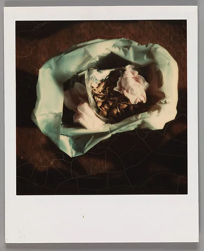 [Peanut Shells in Trash]