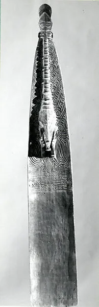 Surf Board? — Unknown