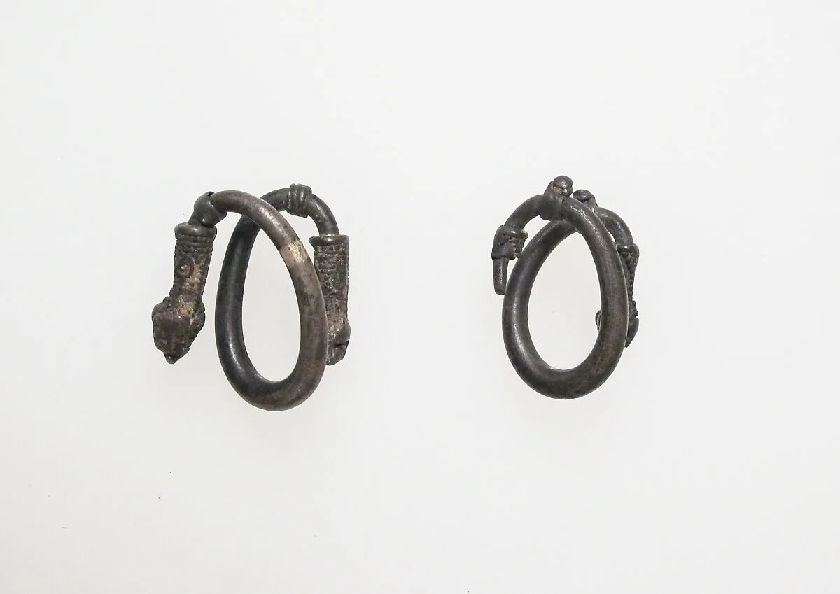 Earring or spiral — Unknown