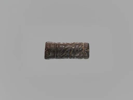 Ear Ornament