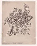 Flowers Dancing