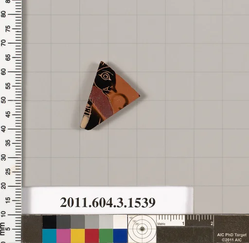 Terracotta fragment of a kylix (drinking cup)