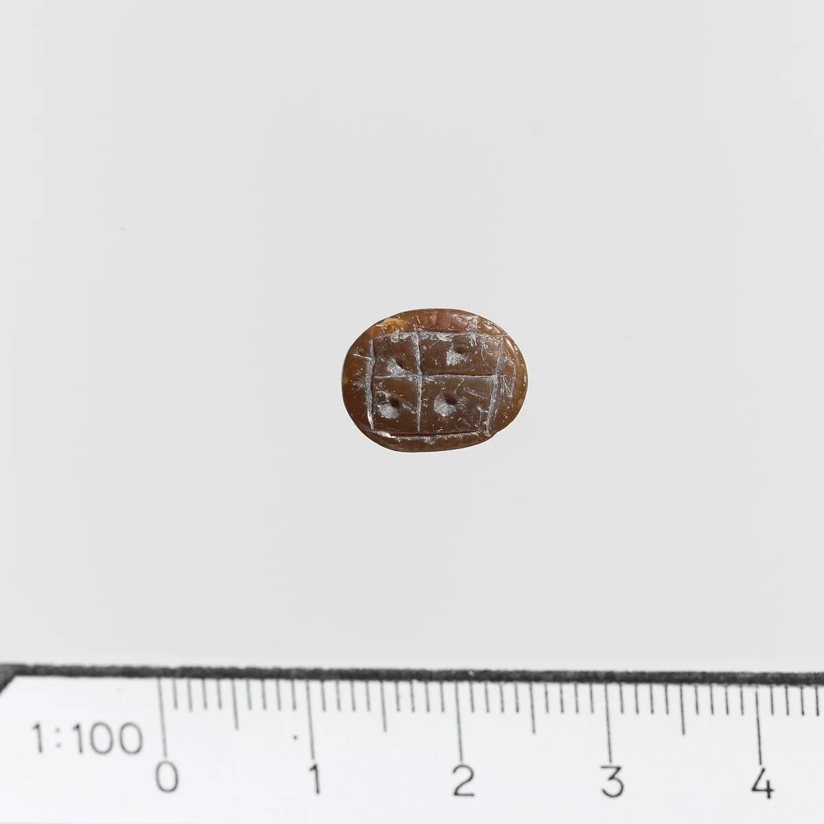 Seal — Unknown
