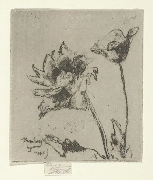 Two Flowers — Théodore Roussel