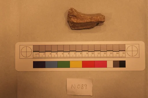 Stucco Fragment