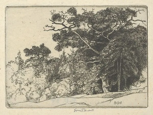 Brown's Oak — Ernest Haskell
