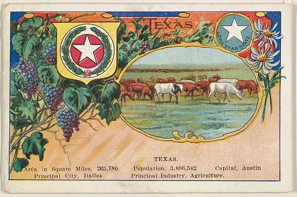 Texas postcard from the Cards of States series (D22), issued by the Cushman Bread Company — Cushman Bread Company