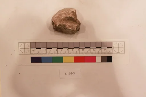 Stucco Fragment