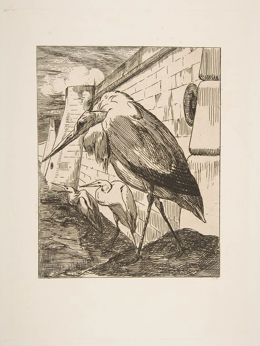 Les Cigognes — Félix Bracquemond