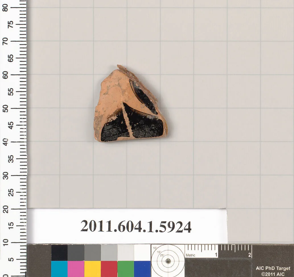 Terracotta fragment of a kylix (drinking cup) — Unknown
