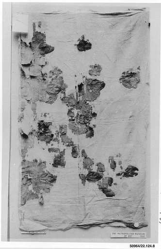 Textile Fragment
