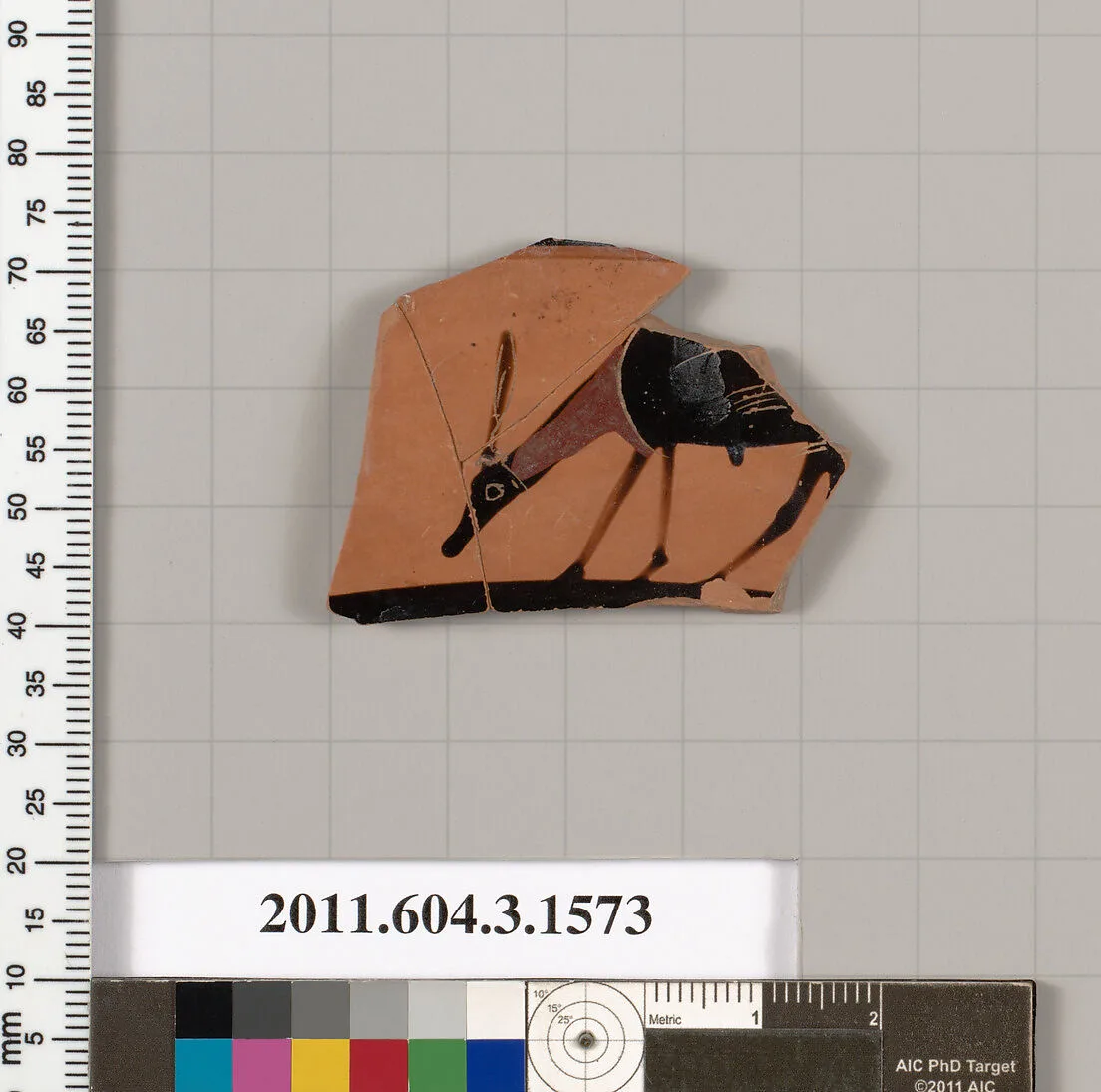 Terracotta fragment of a kylix: Band cup (drinking cup) — Unknown