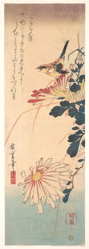歌川広重画 菊に鷦鷯 |A Wren and Chrysanthemums