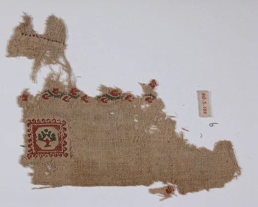 Textile Fragment