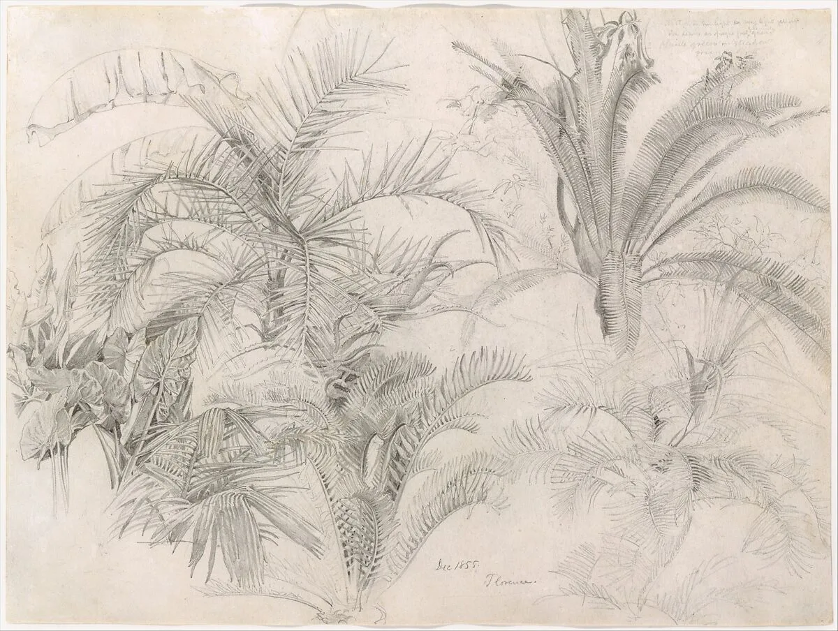 Palms — William Trost Richards