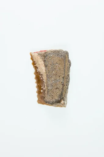 Sickle Insert