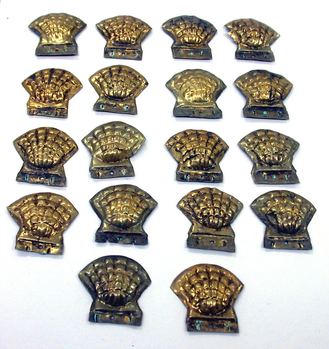 Cockle Shell Ornament — Unknown