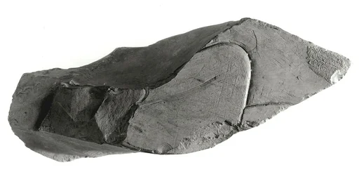Raised relief fragment