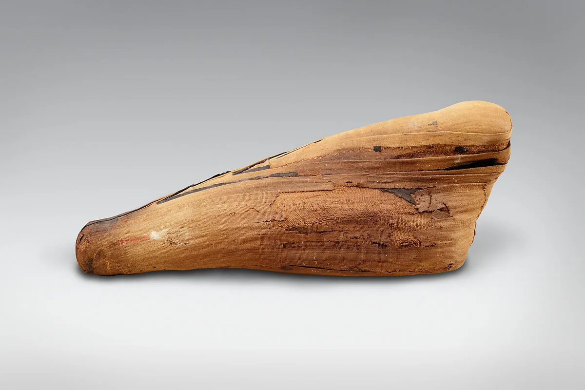 Sacred animal mummy of an ibis — Unknown