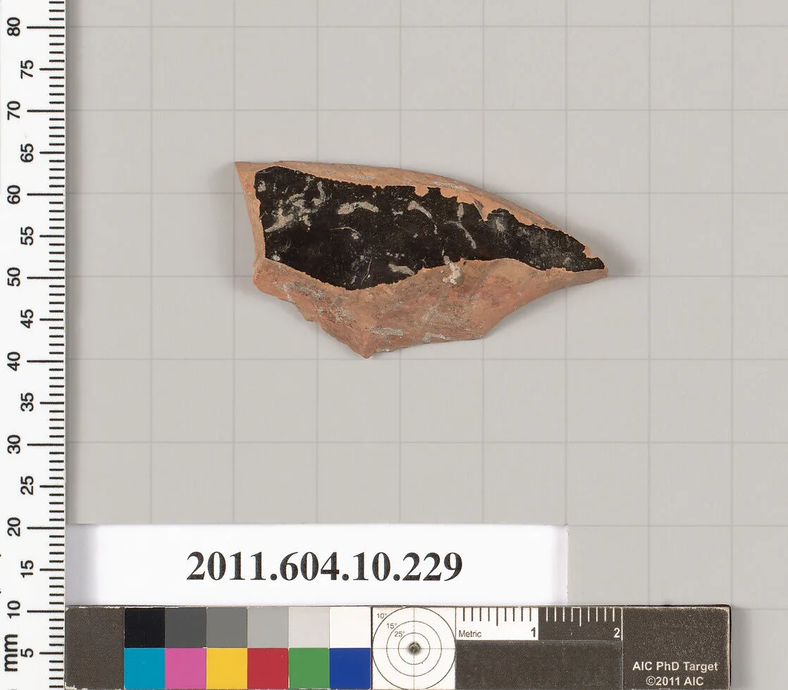 Terracotta fragment of a closed shape — Unknown