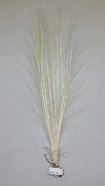 Aigrette — Unknown
