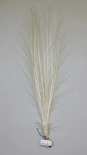 Aigrette