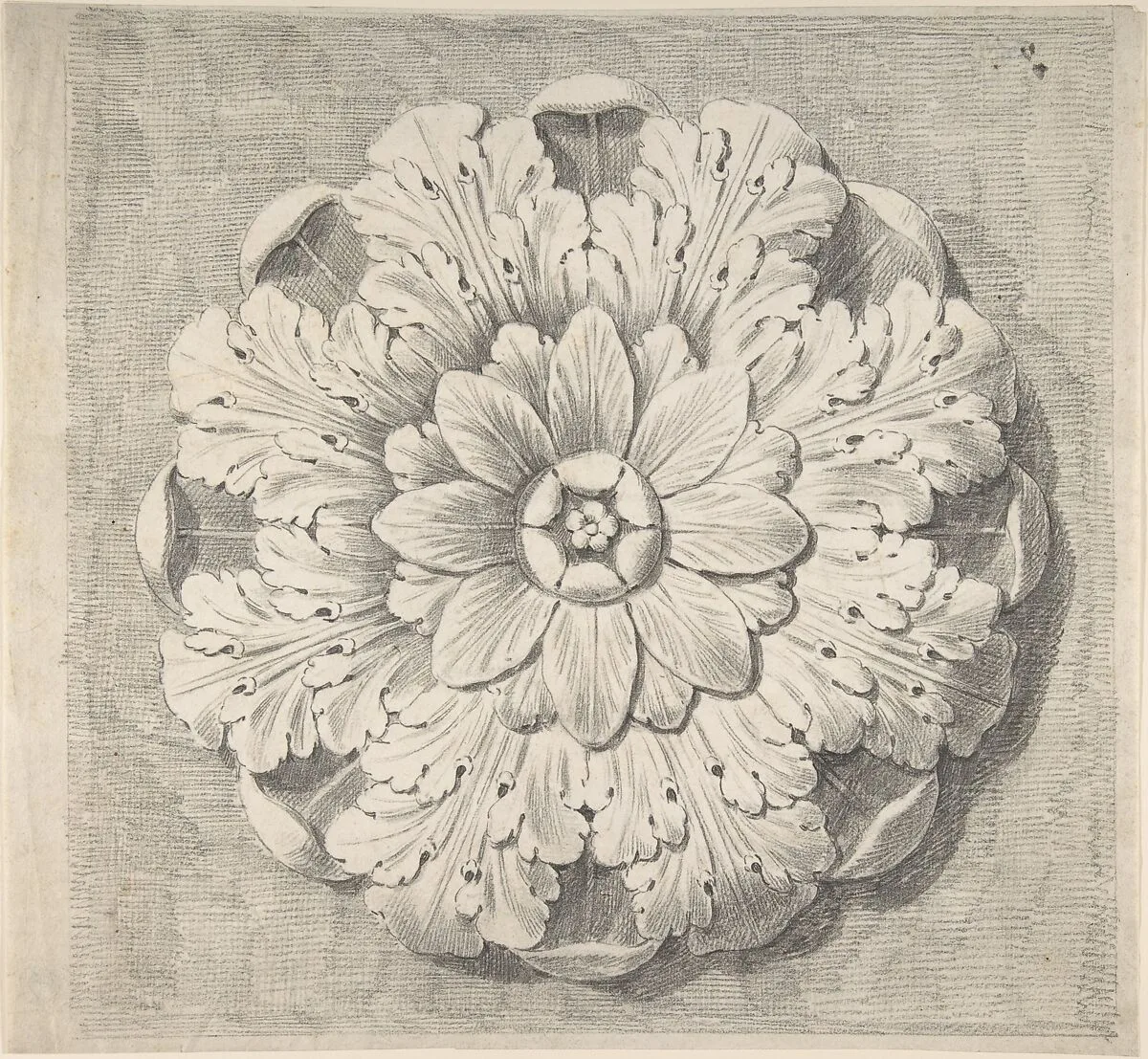 Study of a Classical Rosette — Thomas Hardwick